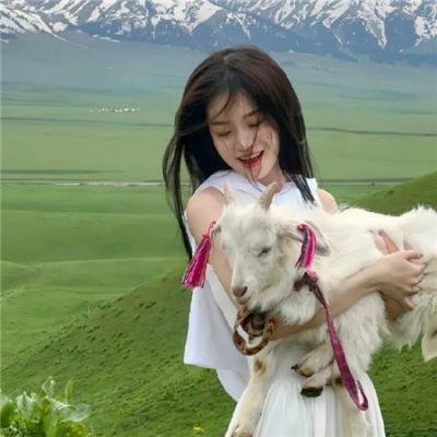 红灯绿灯