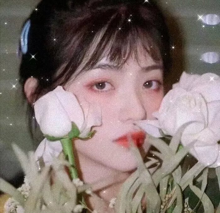 芭比明星公主